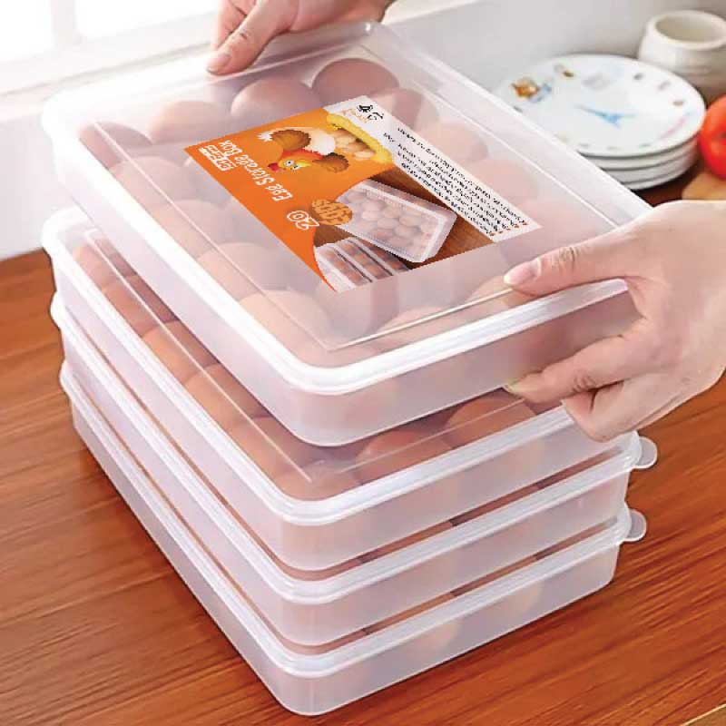 20 Grid  Egg Storage  Box